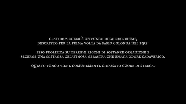 RAVENNA NIGHTMARE 2021 - Cuore di strega