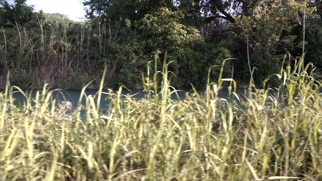 FILMMAKER - Quarta Passeggiata - Un giro di giostra