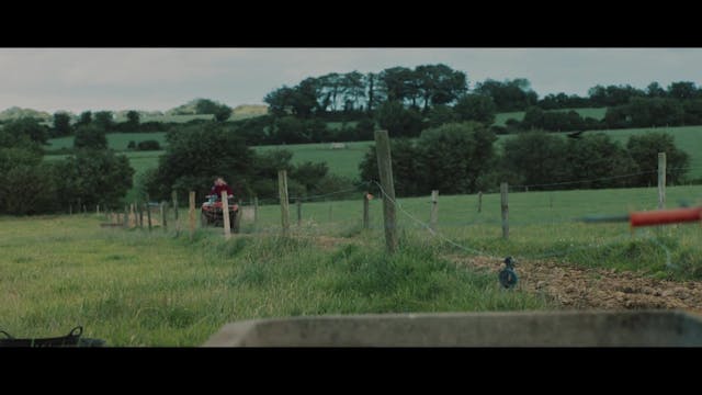 BERGAMO FILM MEETING - Valentina Masper - Cork uniti sub impressi