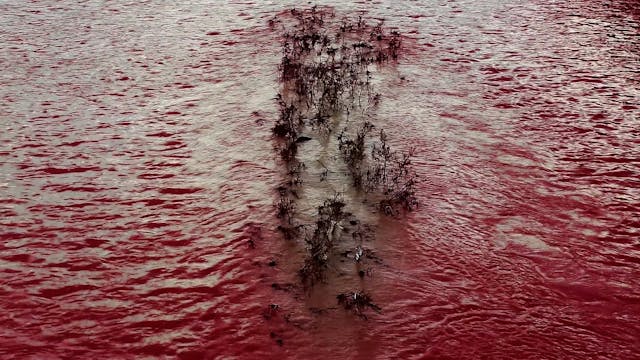 MIDDLE EAST - The_Disquiet_NO_SUB