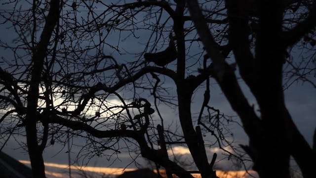 NAILS IN MY BRAIN_(BEYNIMDƏKI MISMARLAR)_DEF