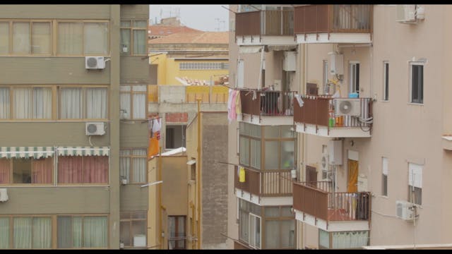 BIOGRAFILM - La Pallina Sulla Conca