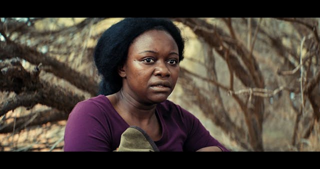 CAPRI - AYAAN_DOWNLOADABLE PRIVATE SCREENER