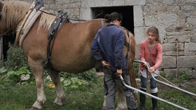 POPOLI - LaTerreDuMilieu_FTR_1080p