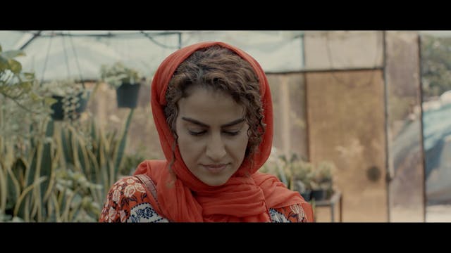 CAPRI HOLLYWOOD 2022 - A Winner- Preview For Festivals