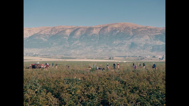 MEDFILM 2021 - Trumpets-In-The-Sky_NO-DIALOG