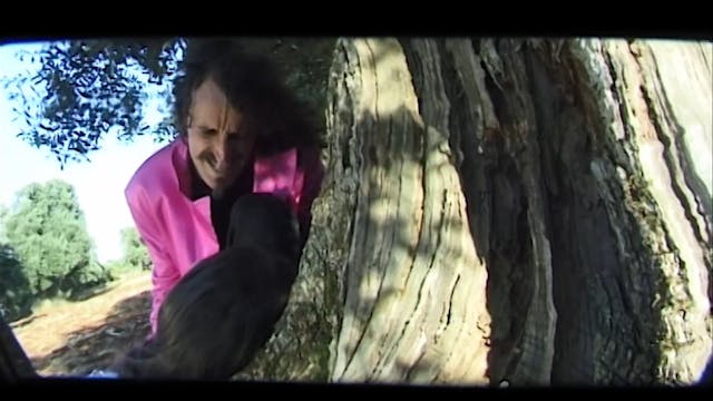 GIORNATE DEGLI AUTORI - SAMP