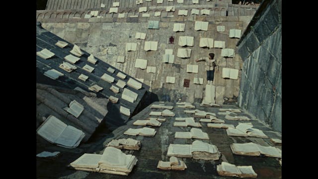 Paolo Pellicano - IlColoreDelMelograno_HY-it_1080_24_12Mbps_MYm