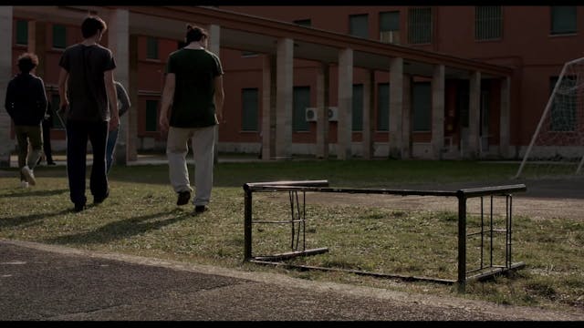 MOLISE - Il pesce toro