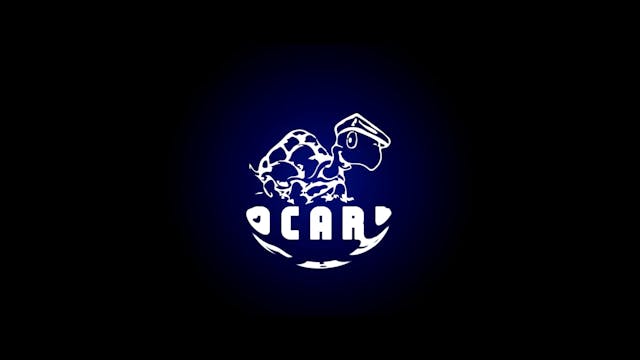 ISCHIA GLOBAL 2022 - ULTIMO STOP_20 MIN_20_SUB ENG_CON LOGO_H264 Prem1ere Srl