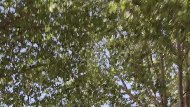 TAGLIO LUNGO - MARGEN DE ERROR_subITA