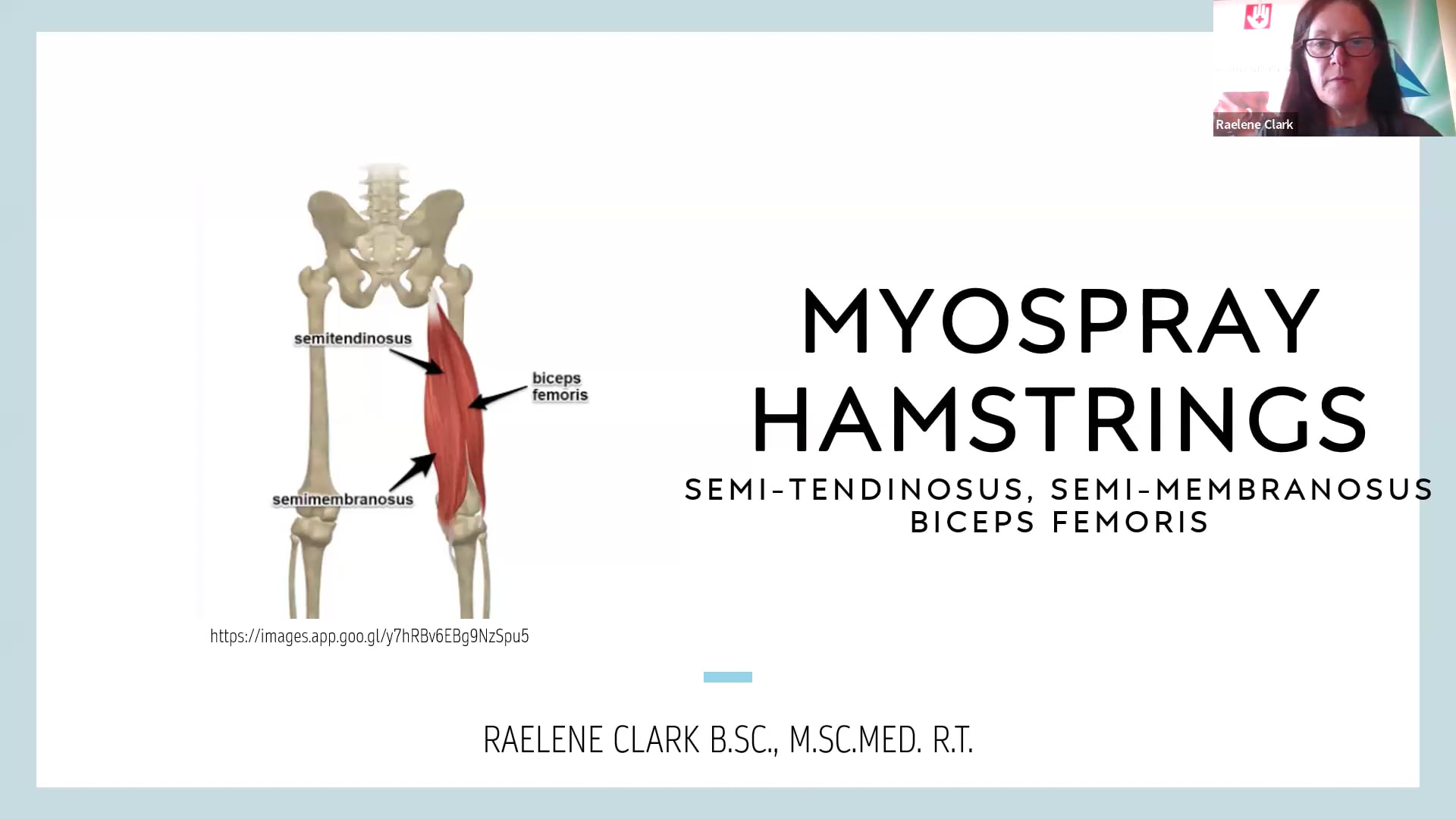 Myofascial Master Class Hamstring Release