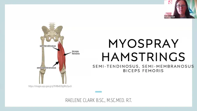 Myofascial Master Class Hamstring Release