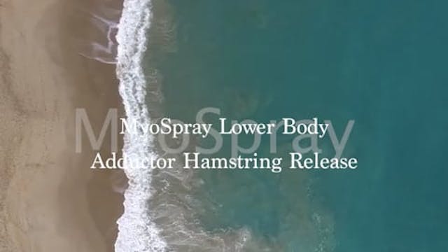Myospray Adductor 2