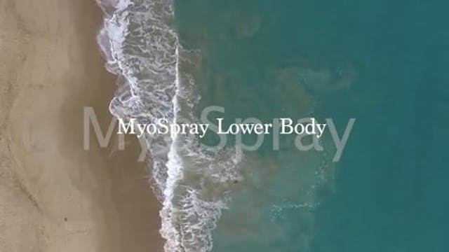 MyoSpray Gluteus Minimus Posterior Division