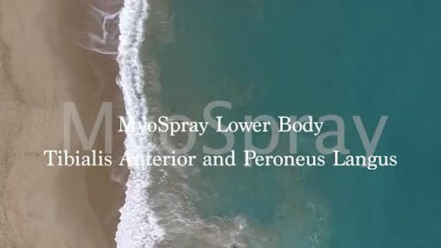 MyoSpray Tib Ant and Peroneus Longus