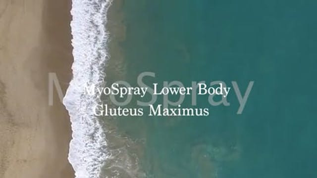 MyoSpray Gluteus Maximus