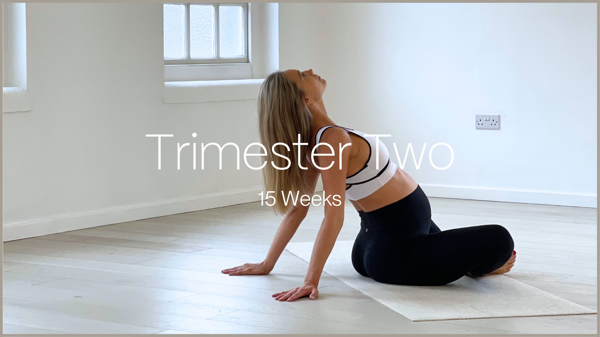 Trimester Two