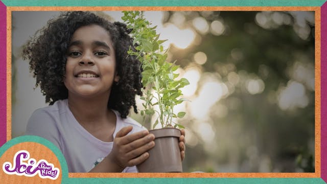 The Wonderful World of Plants! | SciS...