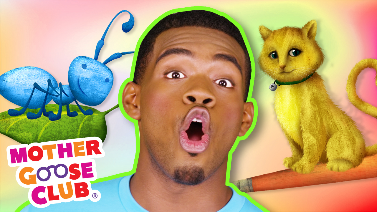 Ant Bat Cat with Robert