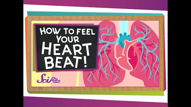 How to Feel Your Heart Beat