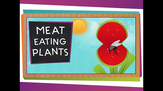 Meat-Eating Plants