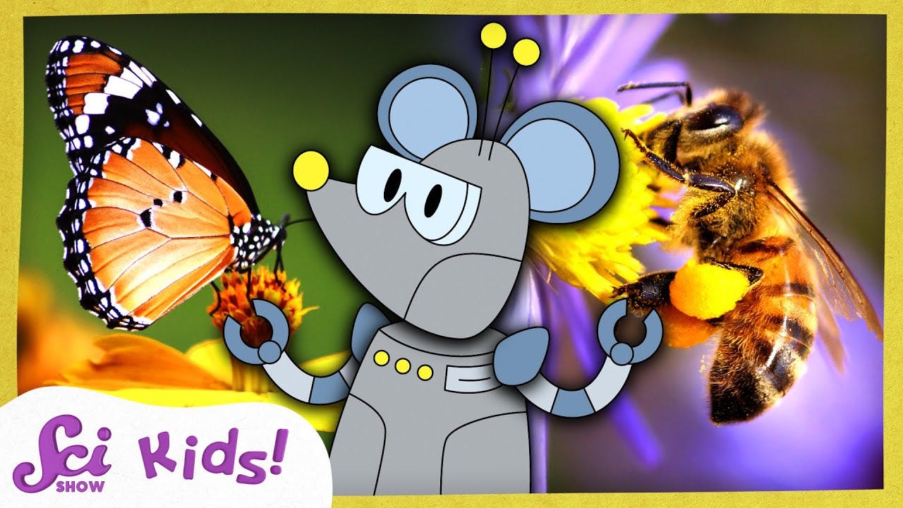 How Do Pollinators Help Plants Grow? Season 1 My Signing Time