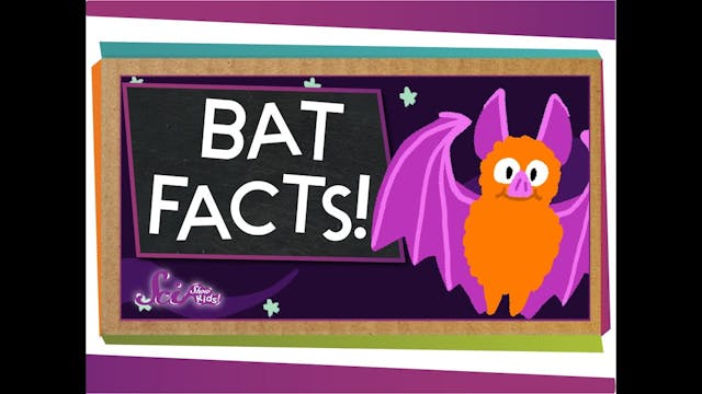 3 Fun Facts About Bats!
