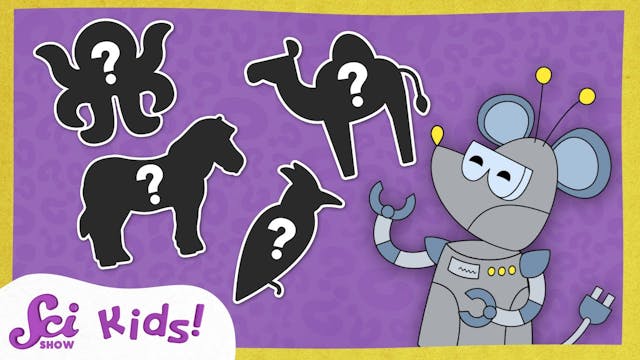 Can You Guess the Animal? | SciShow K...