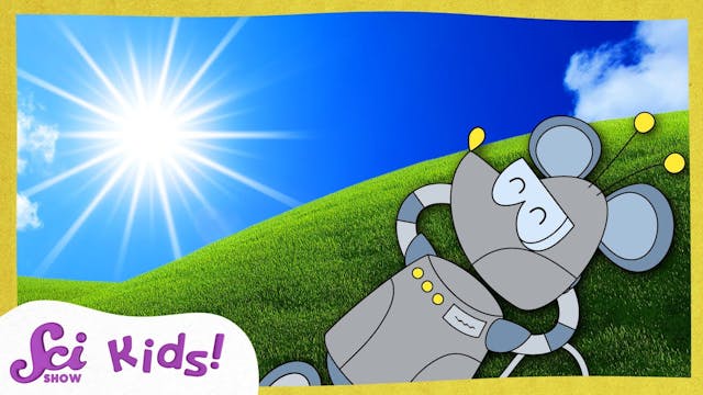 Fun in the Sun! | SciShow Kids Compil...