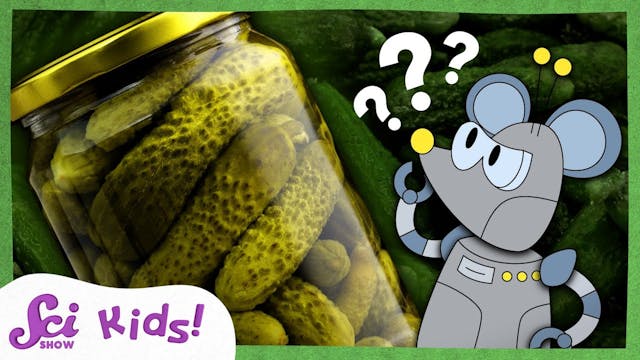 What Are Pickles?
