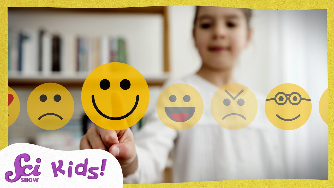 Can You Guess the Emotions