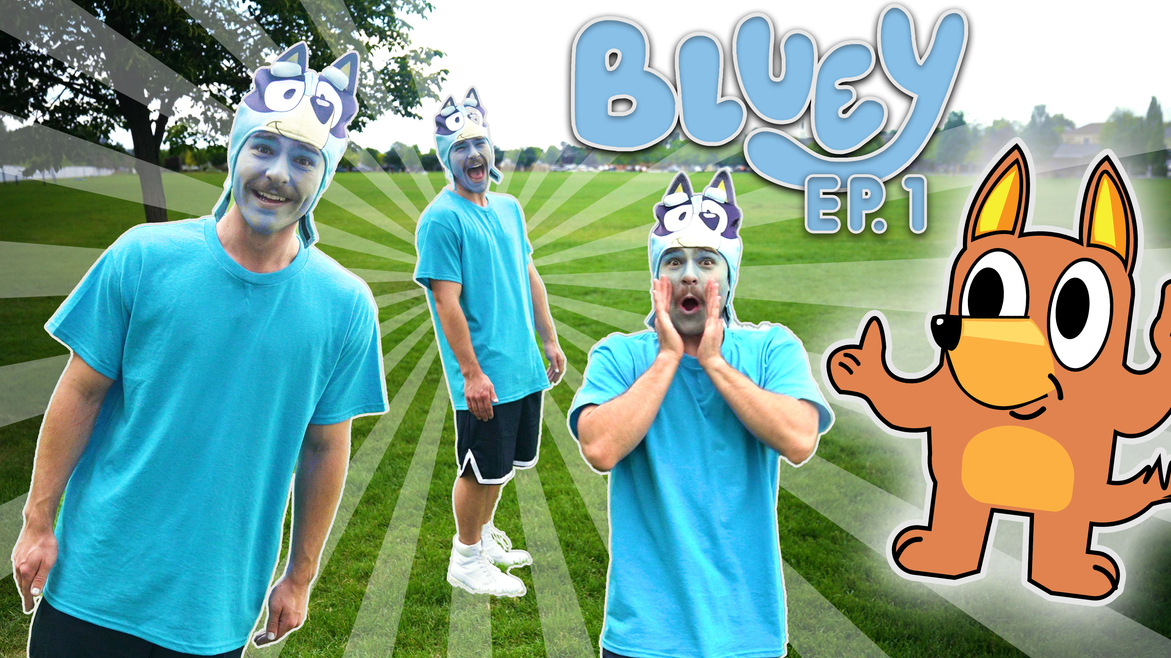 Help Bluey FIND Bingo!