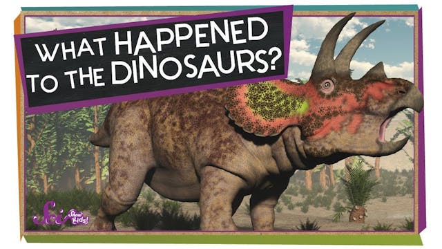What Happened to the Dinosaurs?