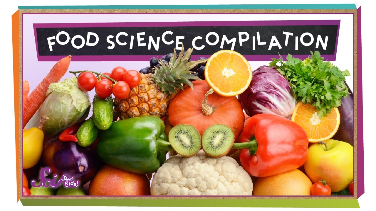 You Are What You Eat! | SciShow Kids Compilation