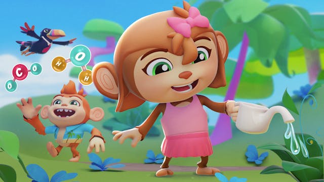 Photosynthesis Music Video - Treescho...