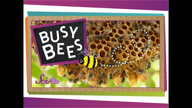 Busy Bees!