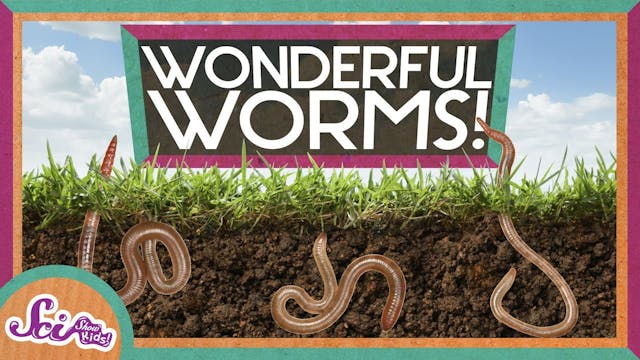 Worms Are Wonderful
