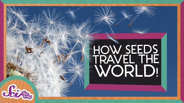 How Plant Seeds Travel the World
