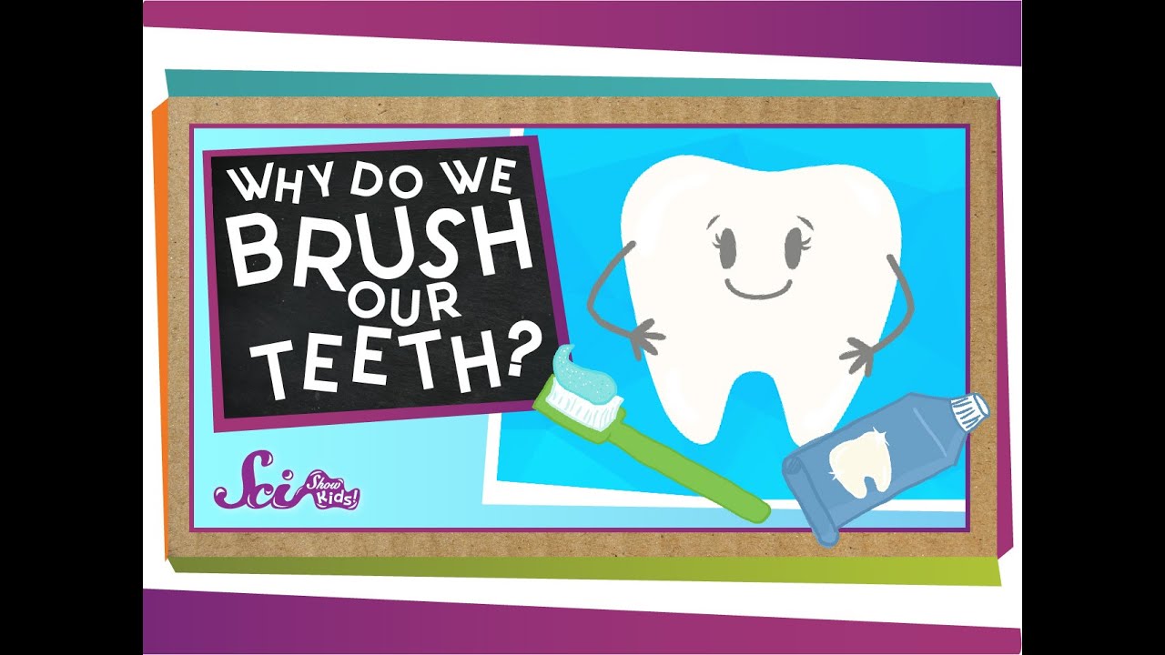 Why Do We Brush Our Teeth?
