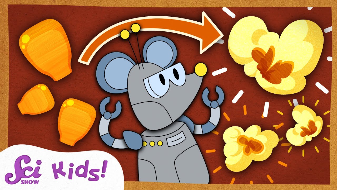 Why Does Popcorn Pop?