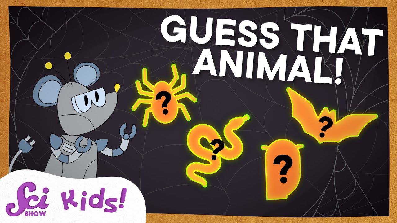 Not-So-Creepy Creatures | SciShow Kids Compilation