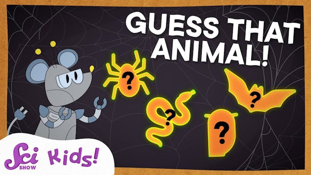 Not-So-Creepy Creatures | SciShow Kid...