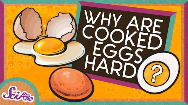 Why Does Cooking Eggs Make Them Hard?