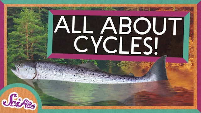 From Seasons to Salmon: All About Cycles! | SciShow Kids Compilation