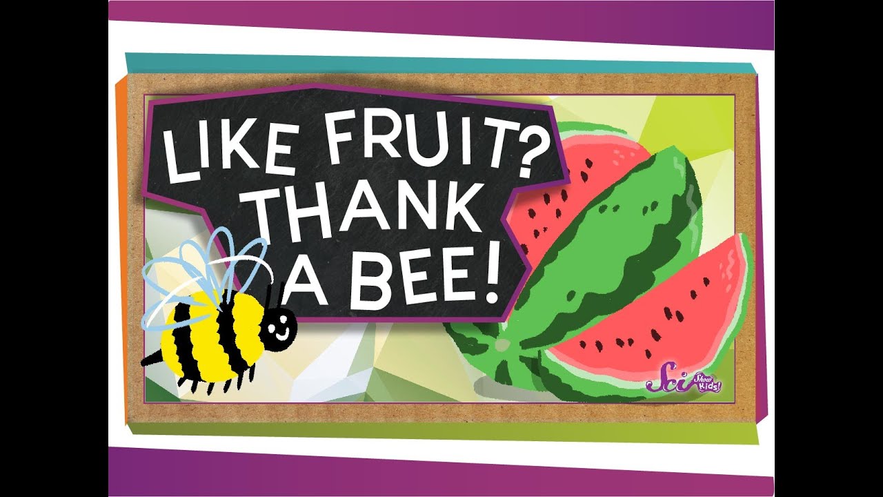 Like Fruit? Thank a Bee!