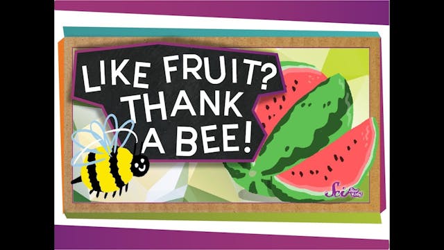 Like Fruit? Thank a Bee!