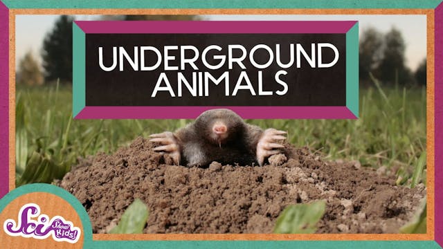 What's It Like to Live Underground?