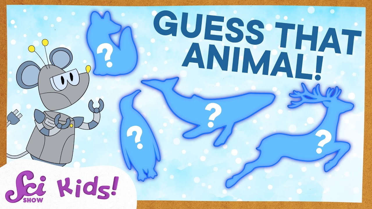 Can You Guess the Cold-Weather Animal? | SciShow Kids Compilation