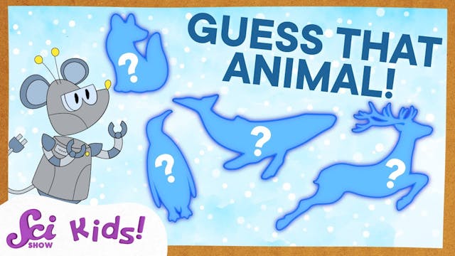 Can You Guess the Cold-Weather Animal...